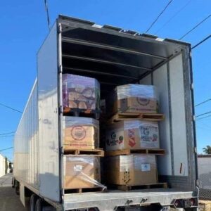 Camion de marchandises générales électroniques